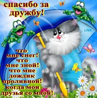 Что нам дождик проливной