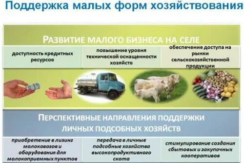 Поддержка малых форм. Поддержка малых форм хозяйствования. малые формы хозяйствования в апк. грантовая малых форм хозяйствования. государственная поддержка агропромышленного комплекса.