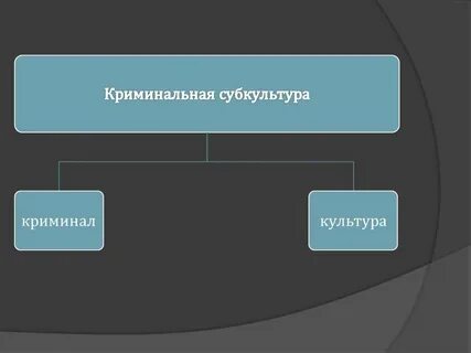 Криминальная субкультура