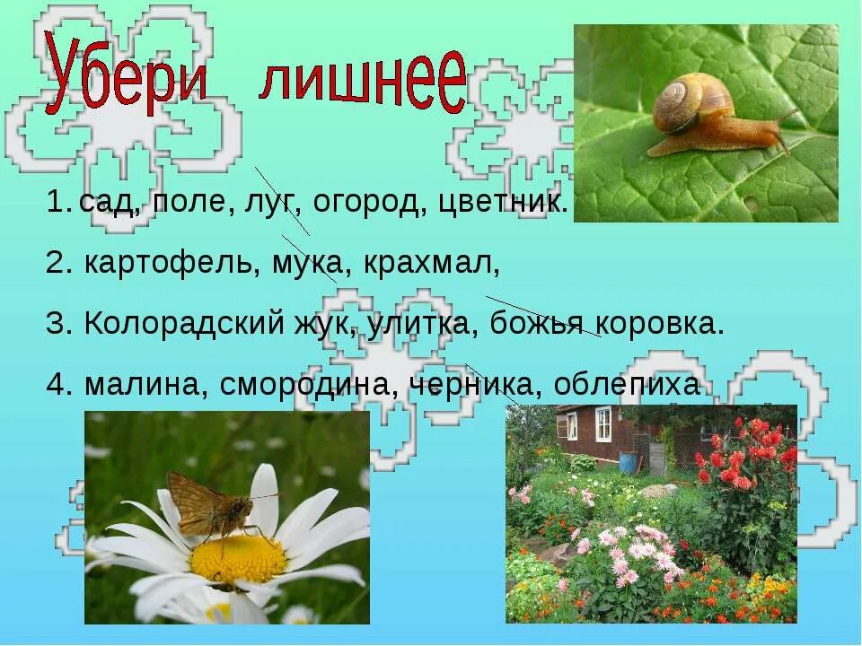 Незаметные защитники урожая. Презентация по окружающему миру незаметные защитники урожая. проект незаметные защитники урожая 4 класс. незаметные защитники урожая 4 класс презентация. защитники урожая 4 класс доклад.