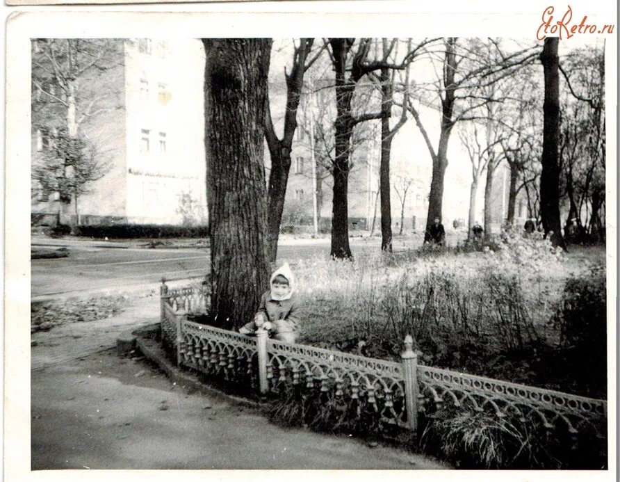 Калининград московский проспект ссср. Калининград 1987 год. Универмаг садко советск. Г калининград московский проспект. Калининград 1990.