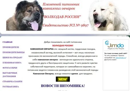 Кавказская овчарка характеристика