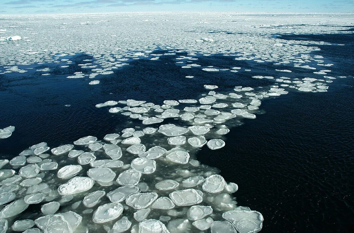 Блинчатый лед Байкала. Блинчатый лёд в Карелии. Шуга Ледовое явление. Шуга на Байкале.