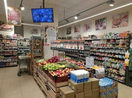 Магнолия кутузовский
