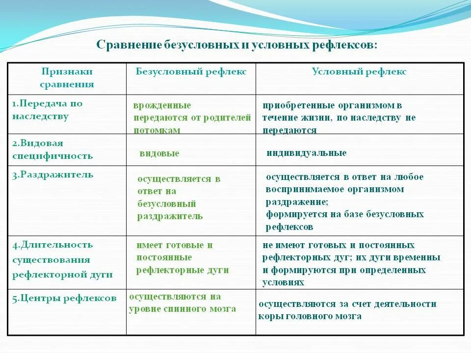 Сравнительная характеристика условных и безусловных рефлексов. Сравнительная характеристика рефлексов таблица. Сравнительная характеристика учловного и безусловногорефлееса. Сравнительная характеристика рефлексов.