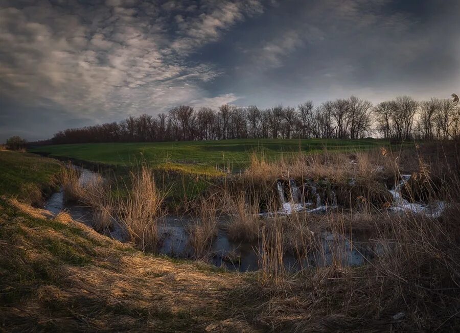 Весенний поток. Ручеек бежит светлая струя. Фото волжских пейзажей весны. Весенний поток. Весенний поток.