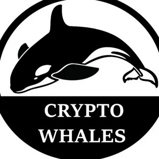 Crypto whale