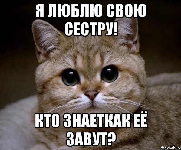 Подруга как сестра. Высказывания о сестре. Это я не тебе своей сестре. Люблю тебя моя сестра. Я люблю тебя сестра.