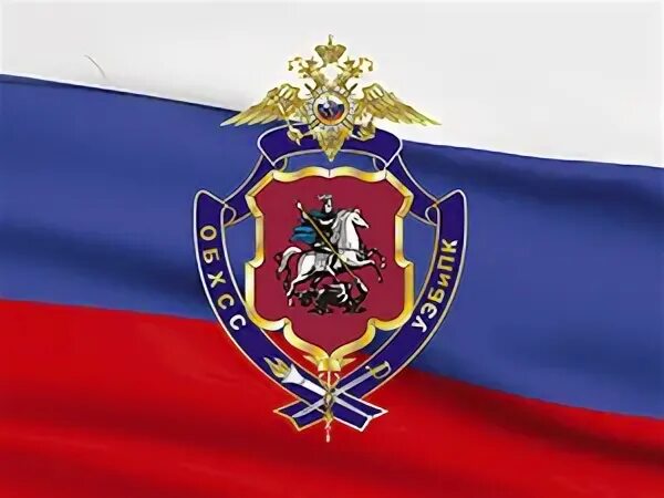 День уэбипк