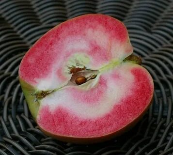 Apple pearl