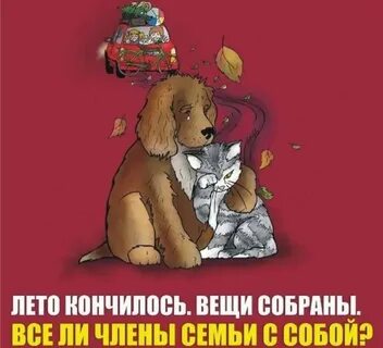 Звери оставайся