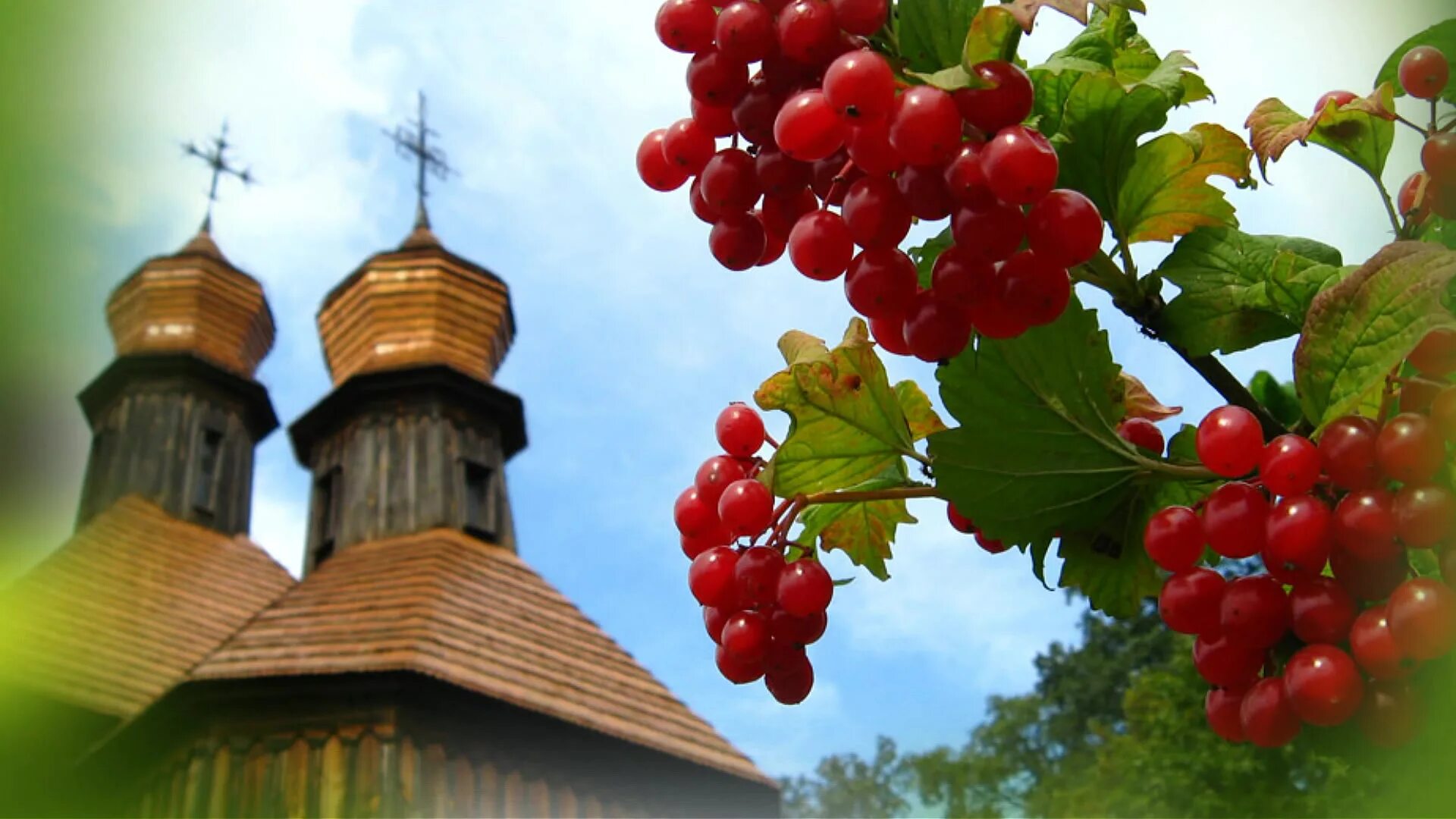 Красноярский край калина красная. Калины куст ноты для баяна. Куст калины рада рай. Рай при долине куст калины. Рай при долине куст калины.