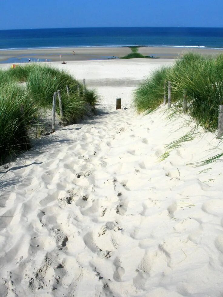 Дюны в Гааге. Пляж дюны. Дюны в Голландии. Пляж дюны Санкт-Петербург. Дюна пассаж