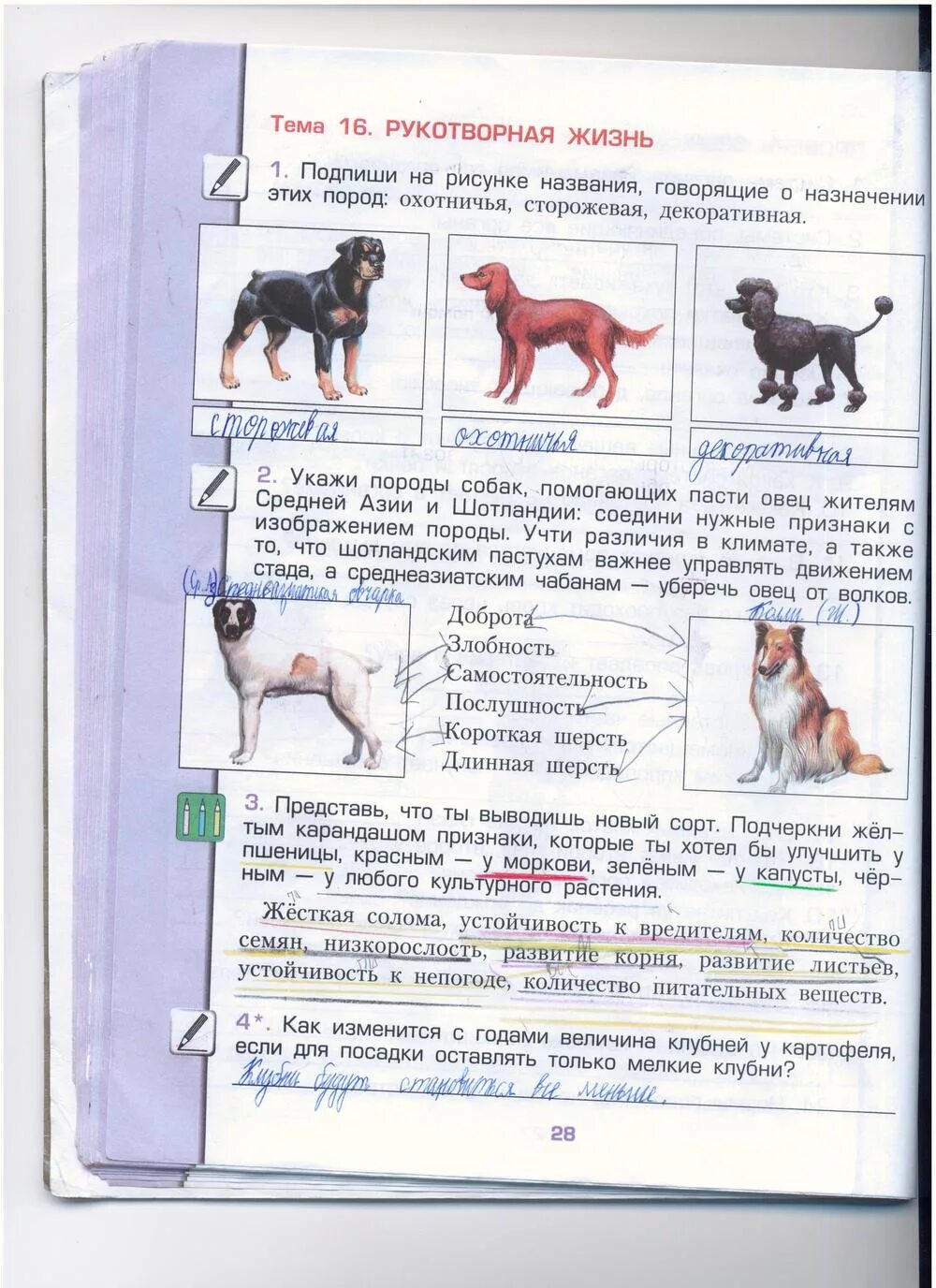 Окружающий мир страница 56 ответы. Про кошек и собак 2 класс окружающий мир рабочая тетрадь. Окружающий мир рабочая тетрадь про кошек и собак. Породы кошек и собак окружающий мир 2 класс. Породы кошек и собак окружающий мир 2 класс рабочая тетрадь.