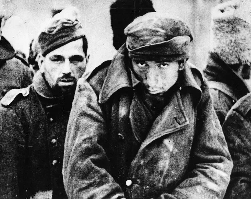 Немецкие военнопленные 1942 сталинград. Немецкие военнопленные 1942 сталинград. Немецкие военнопленные 1942 сталинград. Сталинградская битва пленные немцы. Пленные сталинграда.
