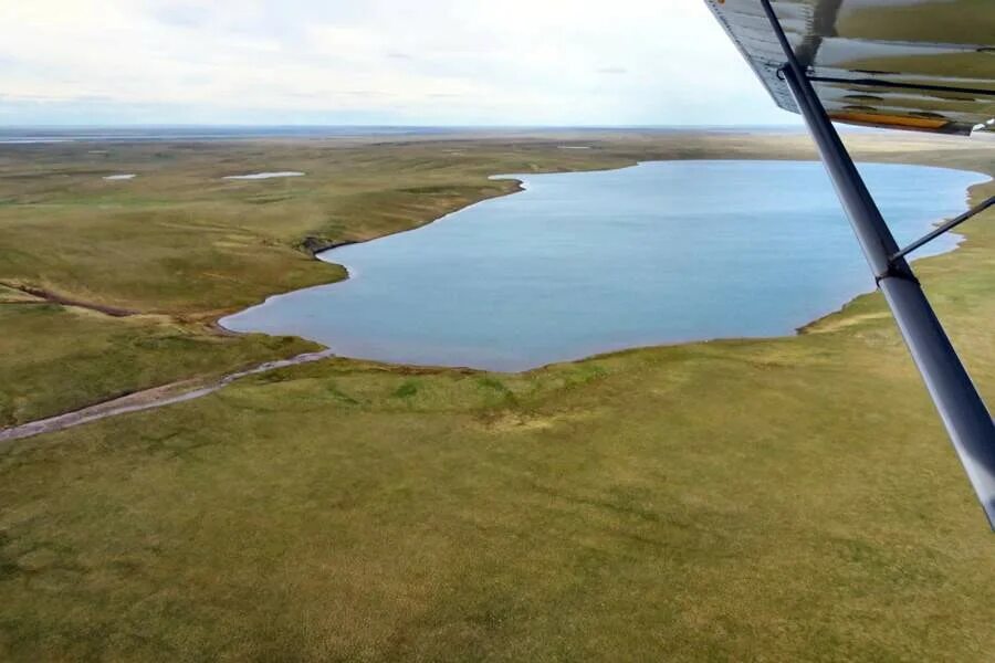 Озеро Таймыр. Озеро Тарей. Рыбы озера Таймыр. Таймыр Усть-Тарея. Длинной блистающей полосой тянется таймырское озеро