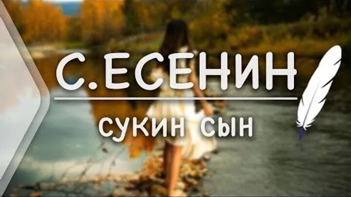 Есенин сын стих. Есенин сукин сын. Сукин сын стих Есенин. Стихотворение Есенина сукин сын. Стихотворение Сергея Есенина сукин сын.