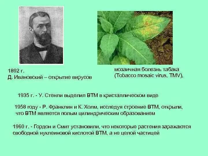 Д и ивановский открыл вирусы. Аверченко рассказы слушать. Гипопротеинемия и гиперпротеинемия. И. Болезнь ивановского.
