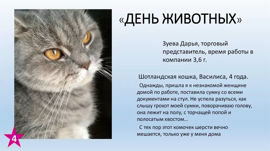 Кличка полосатому котенку мальчику. Кличка полосатому котенку мальчику