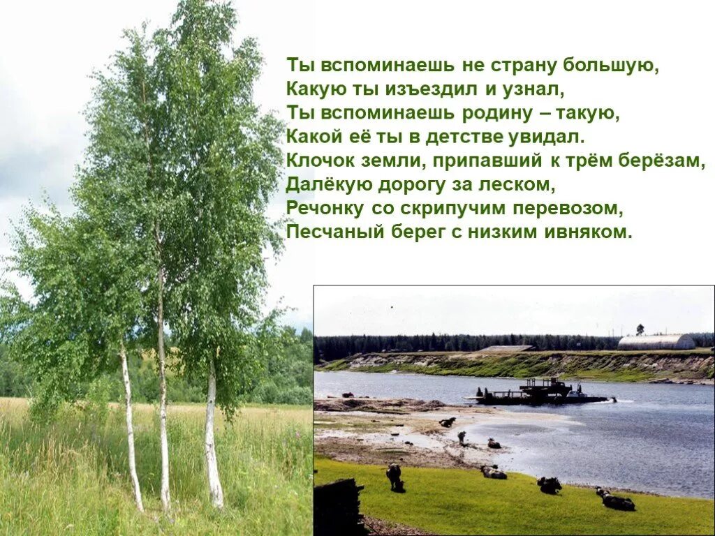 Изъездив почти всю страну я видел много. Родина ты вспоминаешь не страну большую. Клочок земли припавший к трем березам. Три березы. Ты вспоминаешь родину такую какой ее ты в детстве увидал.