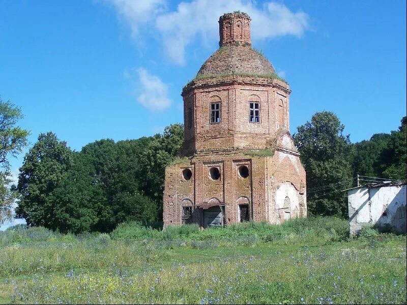 Тараксы
