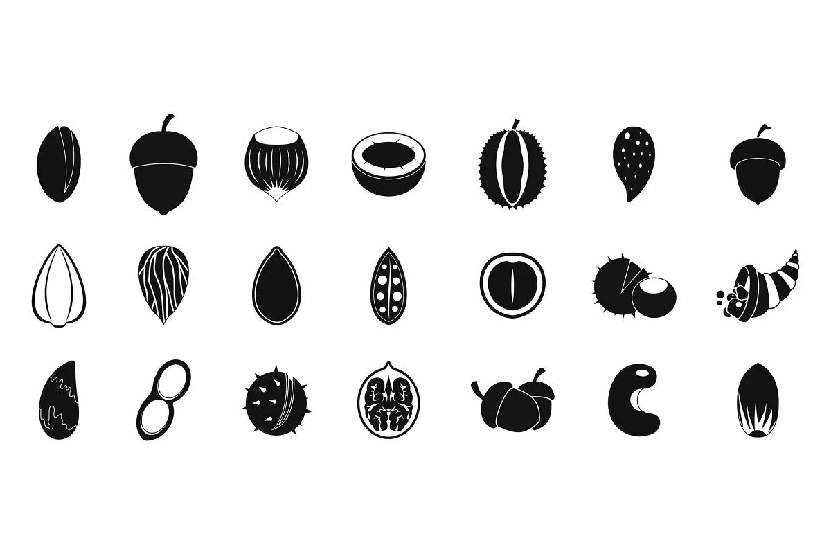 Simple set. Nuts icon. nut icon. simple nuts vector. icon nuts png.