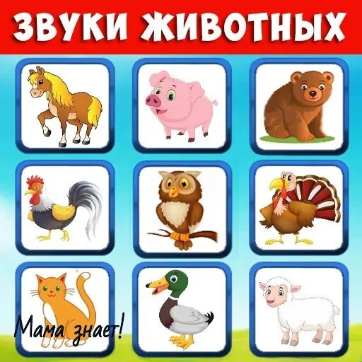 Игра звуки животных. Звуки животных для детей. Звуки животных для самых маленьких. Изучаем звуки животных для самых маленьких. Говорящие животные для детей.