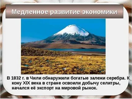 Развитие чили