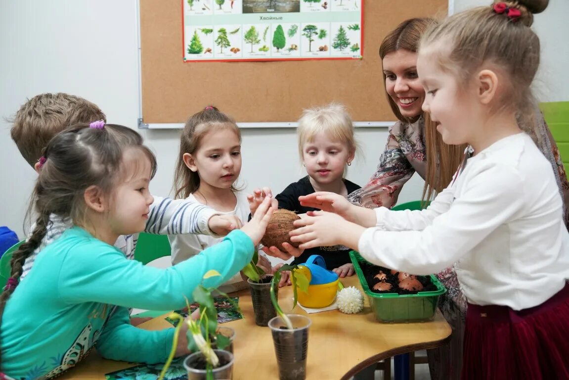 Отделение элита МЭЦ. Выступление в школе. МЭЦ Краснодар. Школа речи. Гбоу 2089