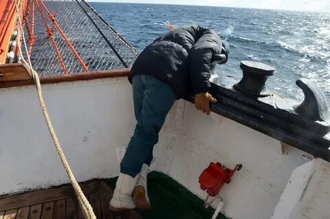 Морской перенос