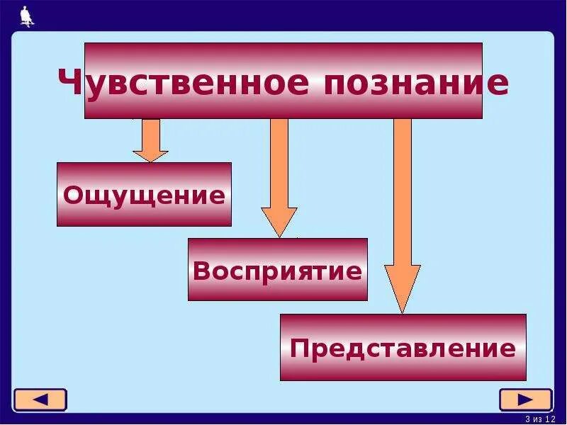 Чувственные формы познания ощущение восприятие представление. Формы чувственного познания. Чувственное познание примеры. Формы чувственного познания примеры. Представление как форма чувственного познания.