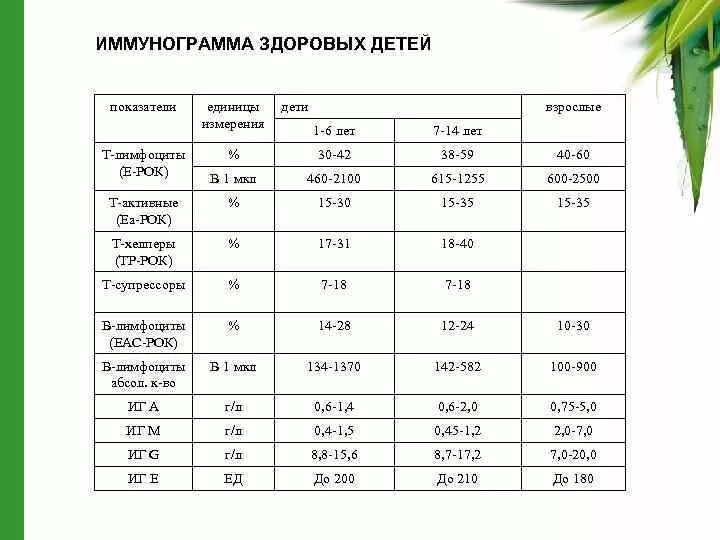 Анализ на иммунный статус. Иммунологическое исследование крови норма у детей. Иммунный статус норма у детей. Иммунологическое исследование у детей норма. Иммунограмма норма для детей 7 лет.