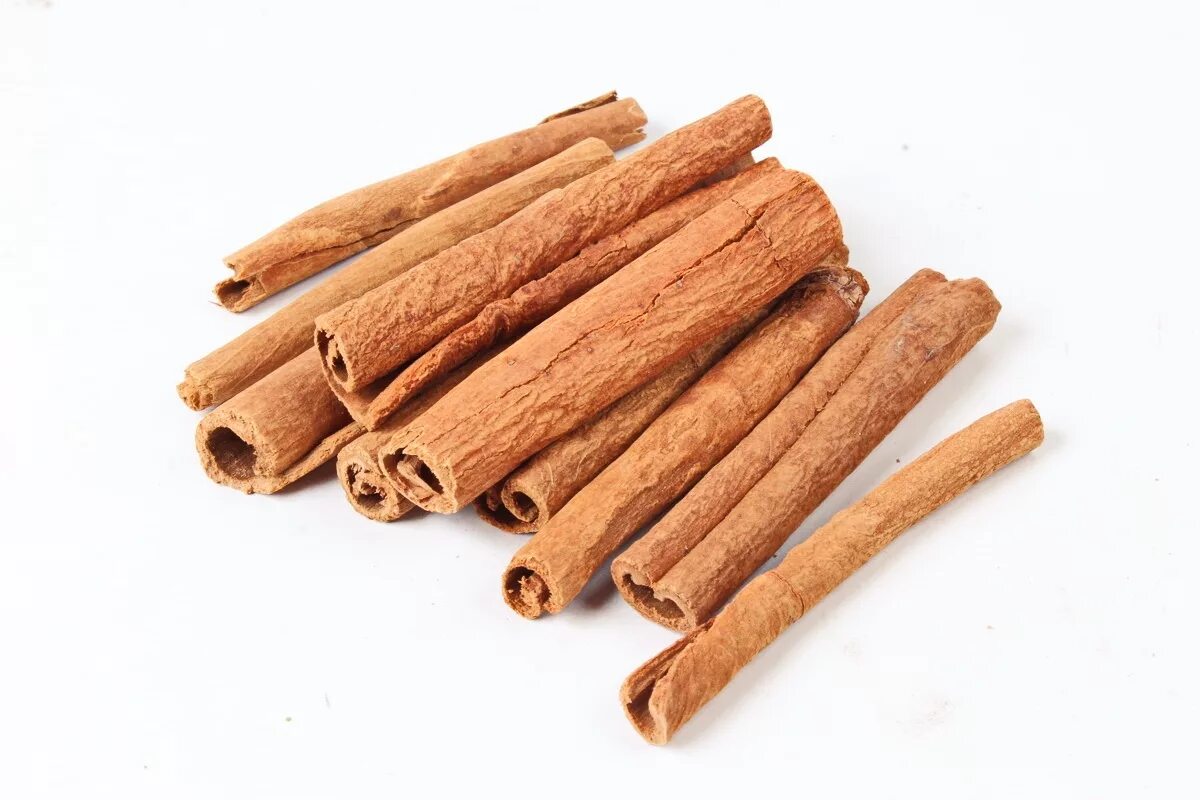 Цейлонская корица дерево. Циннамон корица. Корица палочки (вес-500 г). Коровые пряности корица. Корица можга.