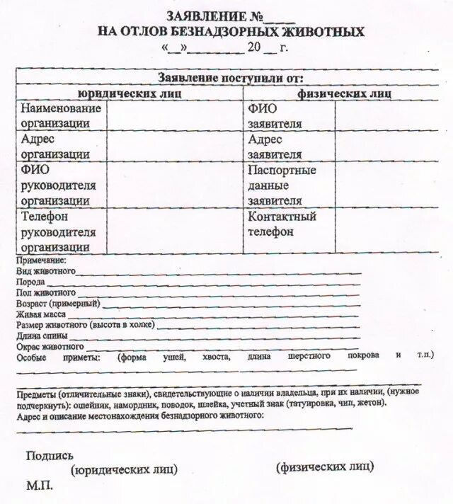 Образец заявления о нападении собаки. Заявление на отлов бродячих собак в администрацию. Заявление в полицию о нападении собаки. Заявление бродячие собаки. Заявление бродячие собаки.