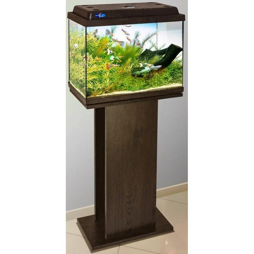 Аквариум 45 45 45. Аквариум угловой 45 литров. Аквариум биодизайн панорама 200. Аквариум aquael pearl 100. Eheim тумба vivaline 150 led антрацит.