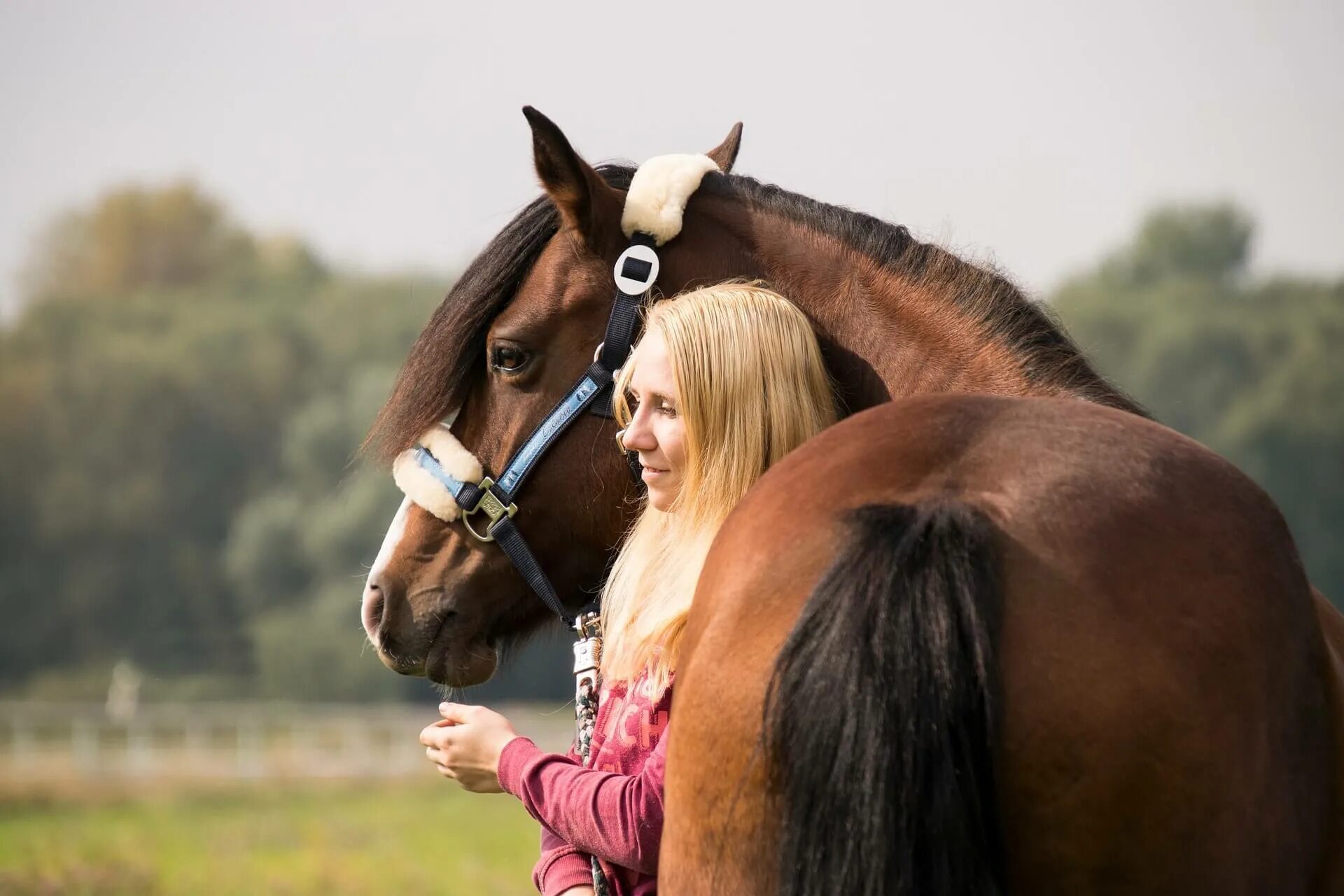 Девочка на лошади. Человек на лошади. Девушка с лошадью. Красивая девушка на коне.