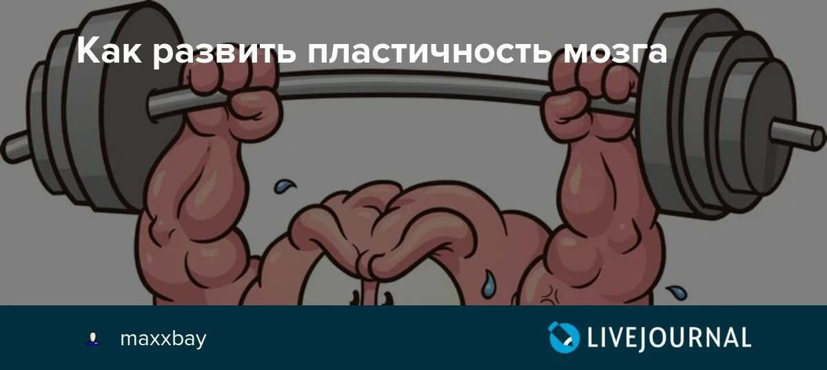 Потрясы. Пластичность мозга. 2 Уровня пластичности мозга. Пластичность мозга инфографика. Пластичность мозга нейроупражнения.