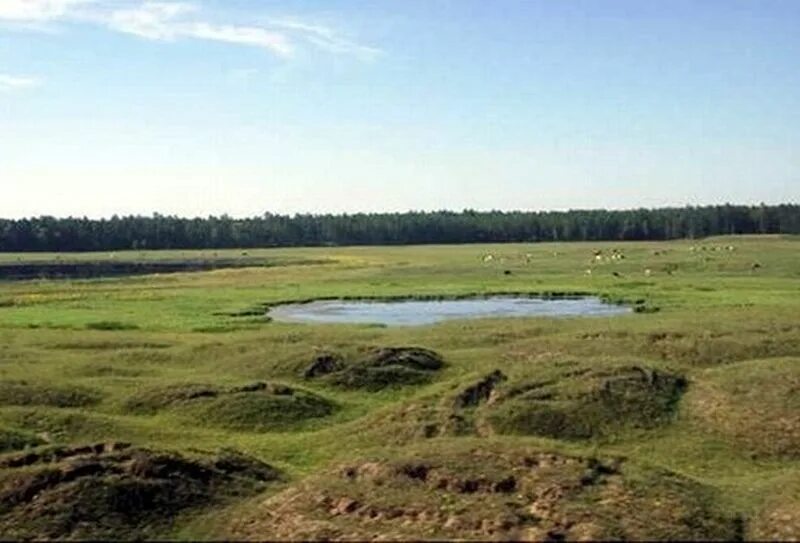 Аласы это. Алас мюрю. Аласы это. Аласы якутии. Аласы это.