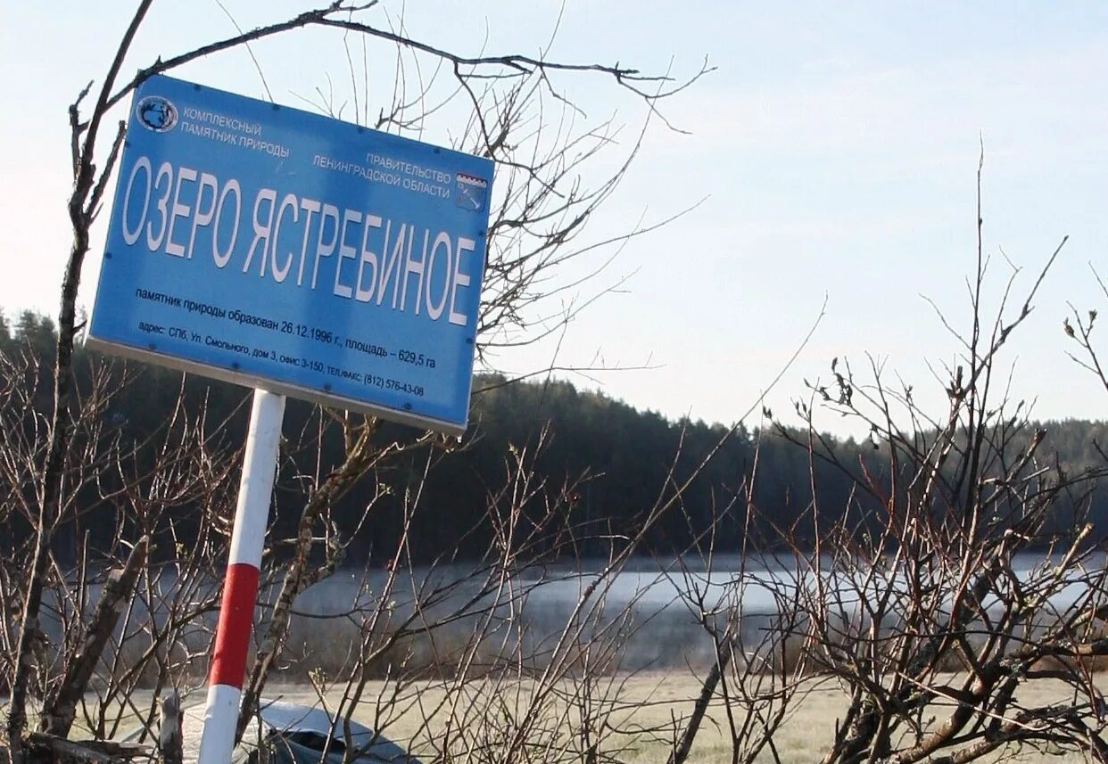 Сделано в финляндии
