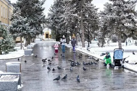 Погода в астрахани на декабрь