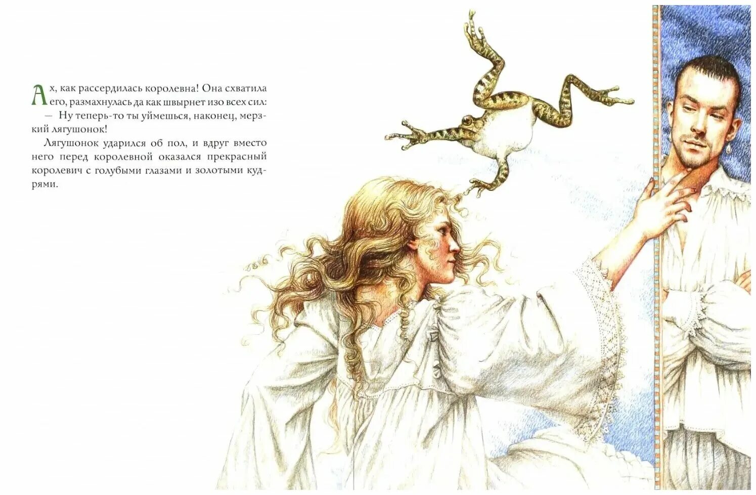 аннотация к король лягушонок или железный генрих. аннотация братья гримм король лягушонок. аннотация к король лягушонок. король-лягушонок или железный генрих. аннотация братья гримм король лягушонок.