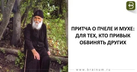 Притча пчеле