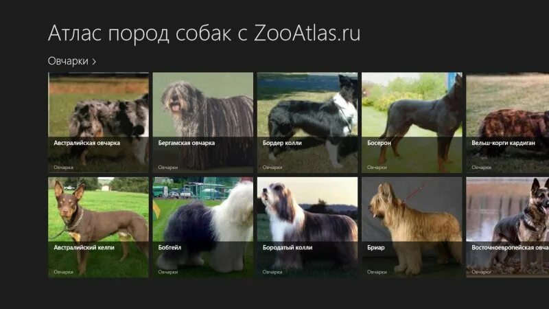 Атлас определитель 2 класс породы собак. Атлас определитель 2 класс породы собак