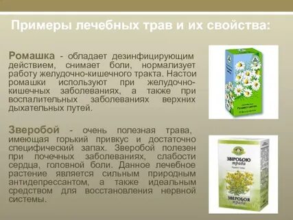 Ромашка для желудка