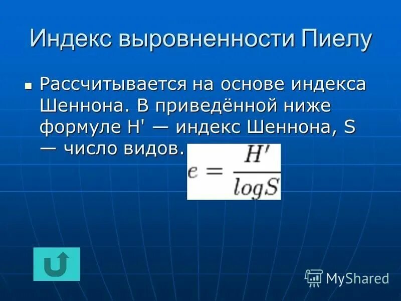На что он рассчитывал. На что он рассчитывал