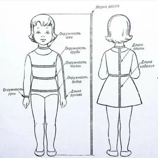 Размеры ребенка для чертежа