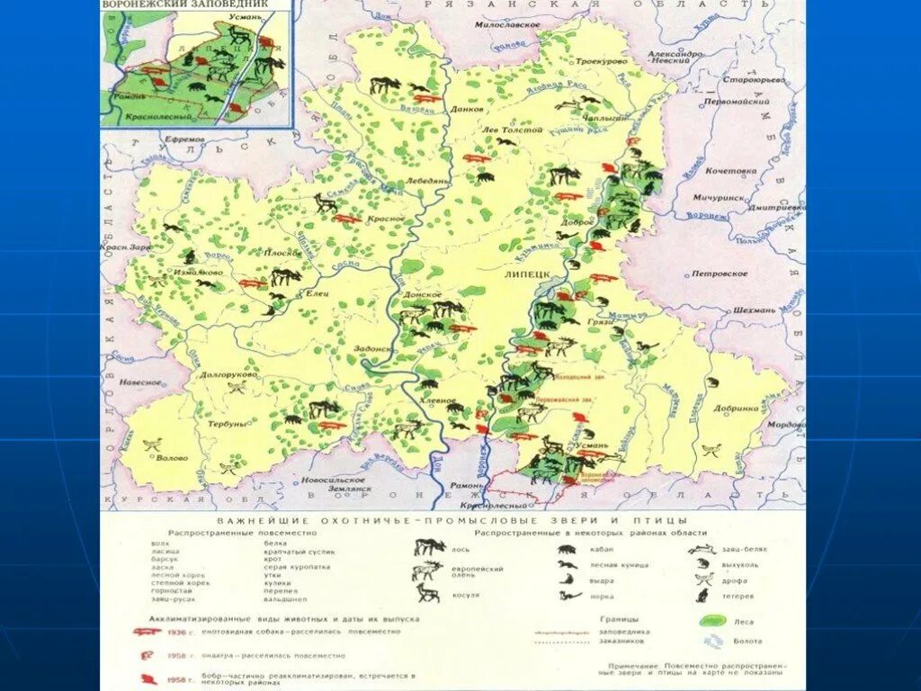 Природные богатства липецка. Озера липецкого края. Природные богатства липецка. Оценка природных условий и ресурсов. Природные богатства липецка.