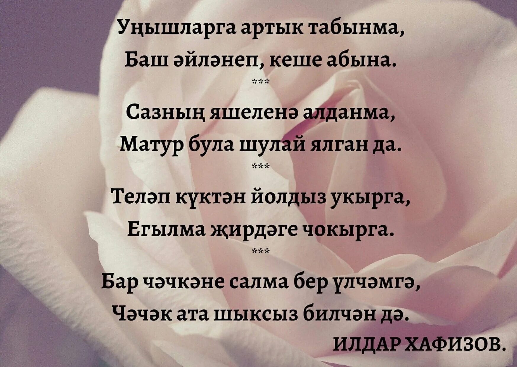 Сагындым сине текст. Сагындым картинки на татарском языке. Мин сине яратам Лилия. Серле Сандык картинки на ватсап. Яратам сине жаным картинки.