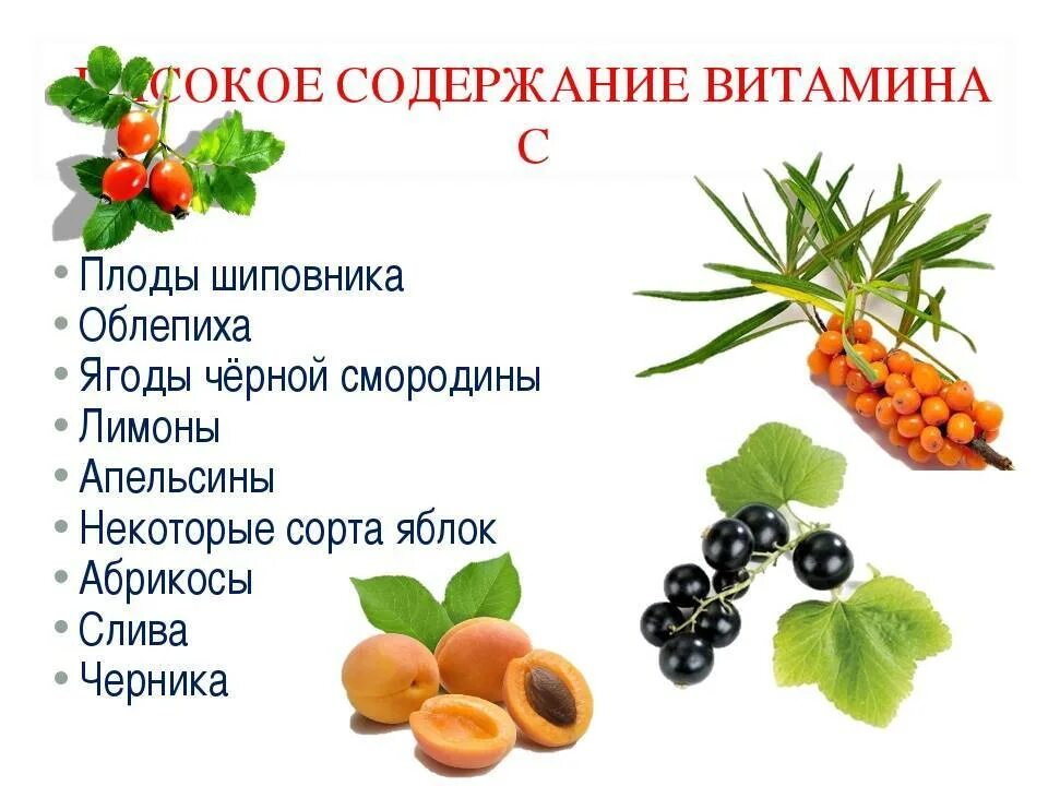 Какая ягода богата витамином с. Фрукты богатые витамином с. Содержание витамина с в овощах и фруктах таблица. В каких продуктах находится витамин с таблица. Глесодержится витамин с.