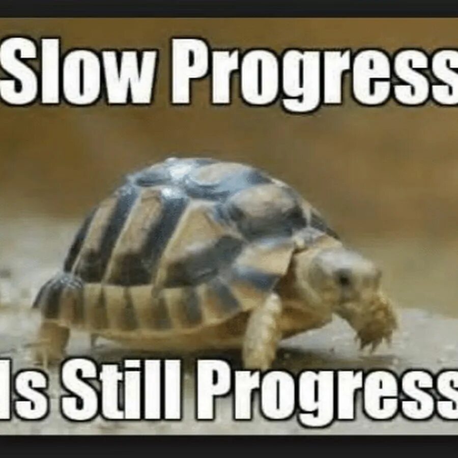 Slow progress is still progress. Зеленая черепаха Мем. See it's Tortoise meme. I M tucking Love progress meme. Slow meme